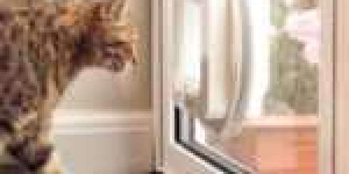 10 Unexpected Cat Flap Fitting Tips