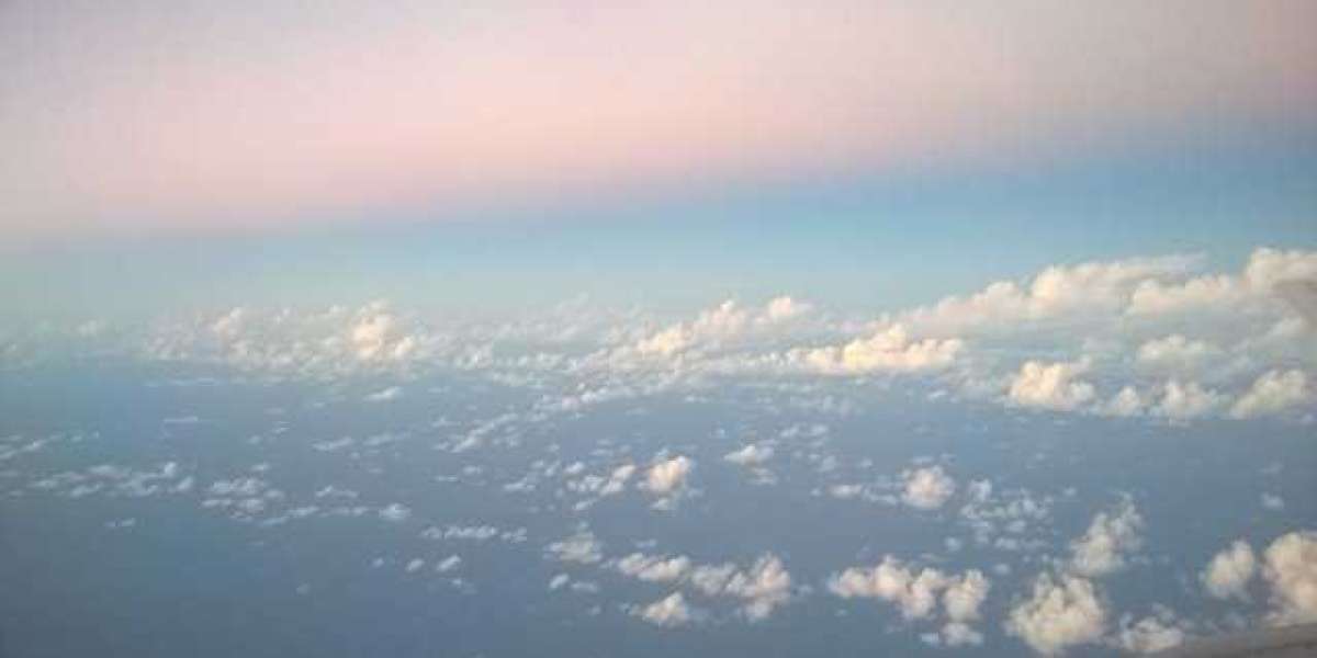 Article Picture